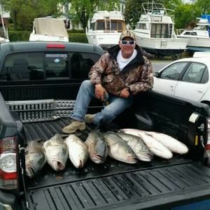 Meet your Posher, William